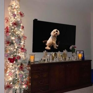 Meet your Posher, Gerri